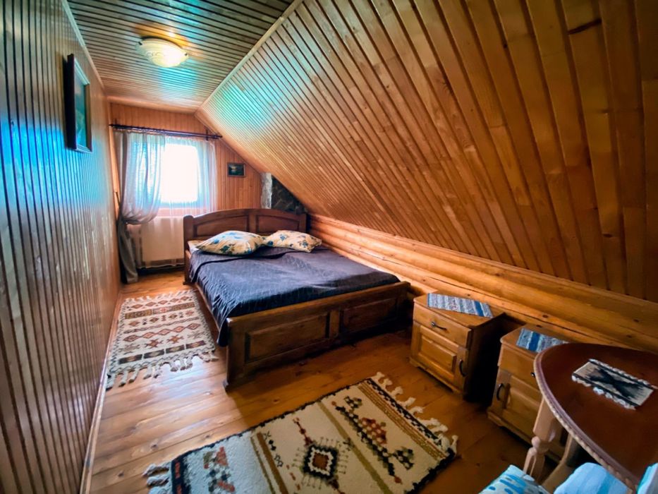 Будинок в Карпатах