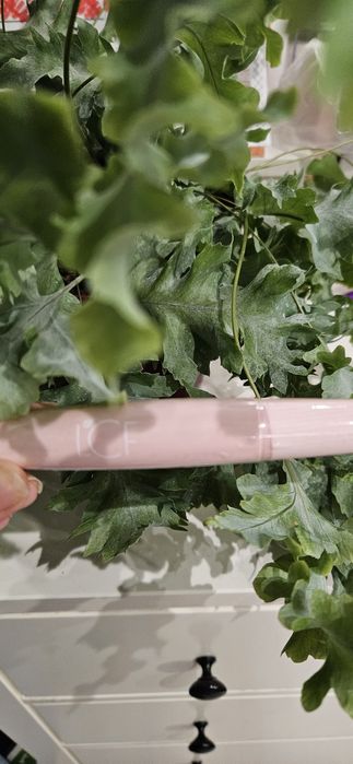 Обмін нової косметики!