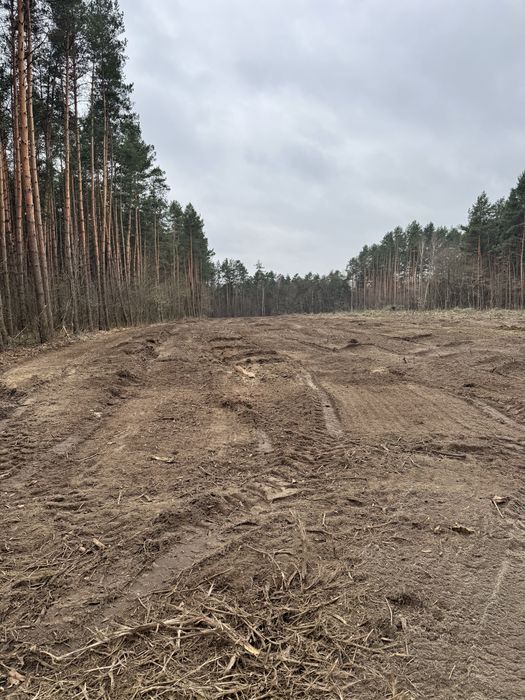 Mulczowanie, karczowanie, czyszczenie działek, wycinka drzew, mulczer,