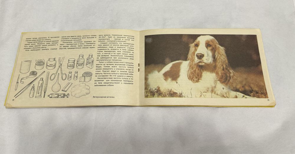 Английский кокер-спаниель Пасик 1992