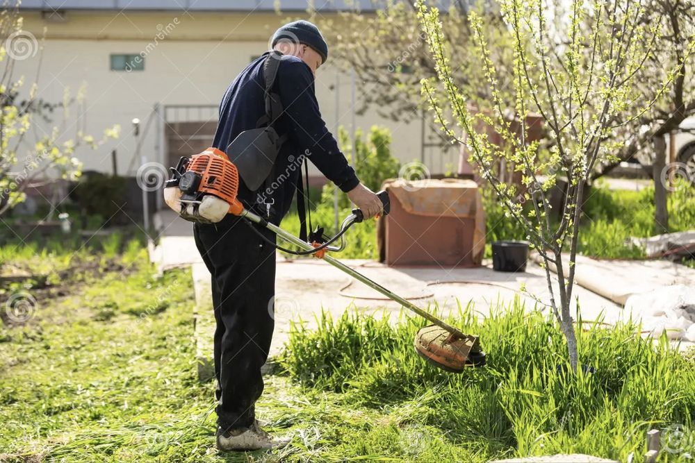 Limpeza de Jardins, Terrenos e Pinhais  – Preços Acessíveis