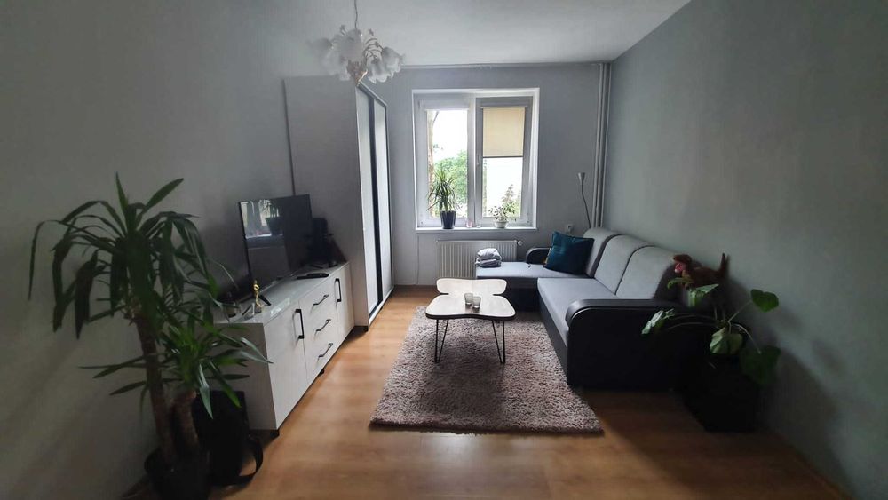 mieszkanie do wnajęcia w centrum Opola – wyspa Pasieka, CO miejskie, TV, Internet.