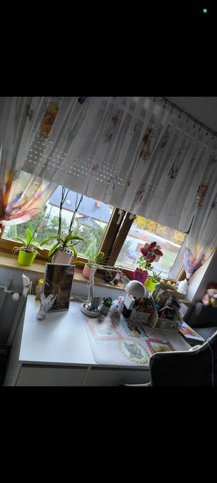 Firany Kubuś Puchatek