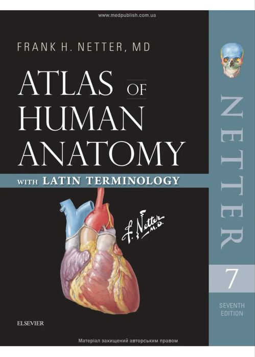 Атлас анатомії людини з латинською термінологією