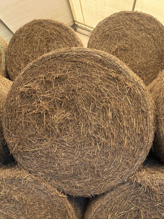 Sprzedam słomę bele 125 spod dachu słucha