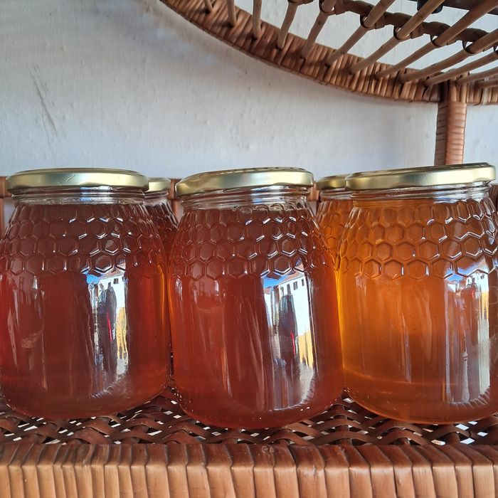 Mel puro de produtor