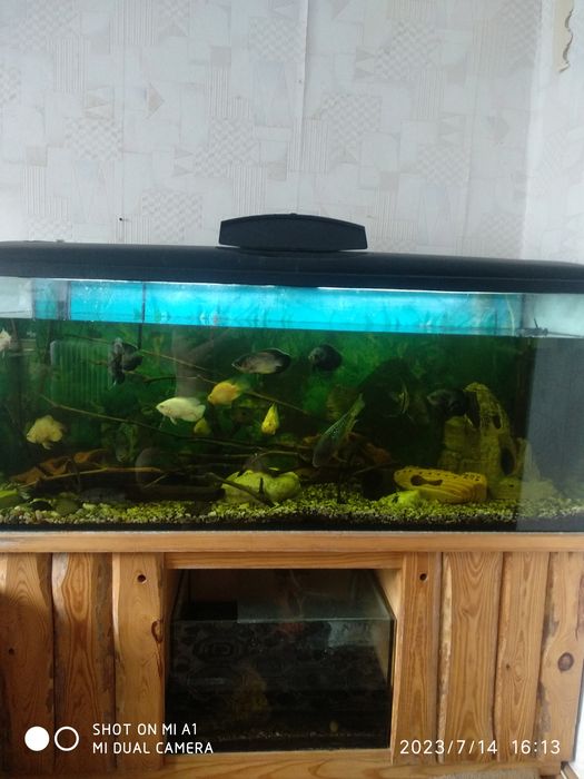 Акваріум 450л ,,,