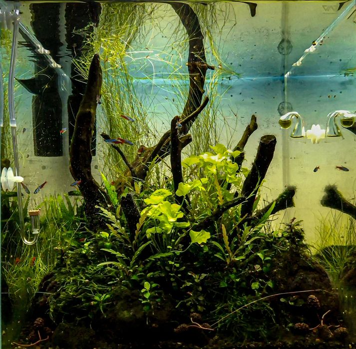 Akwarium viv 40x40x40