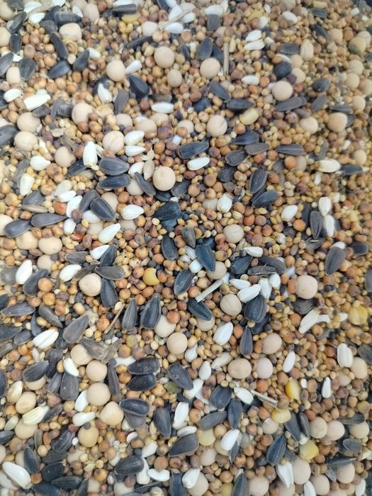 BK karma dla gołębi, mieszanka gołąb