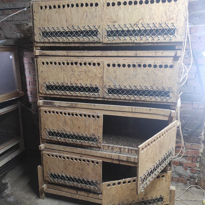 Клетка,клетки для перепелов,птицы, брудерные