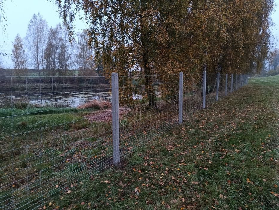 Ogrodzenie tymczasowe siatka leśna słupek drewniany betonowy
