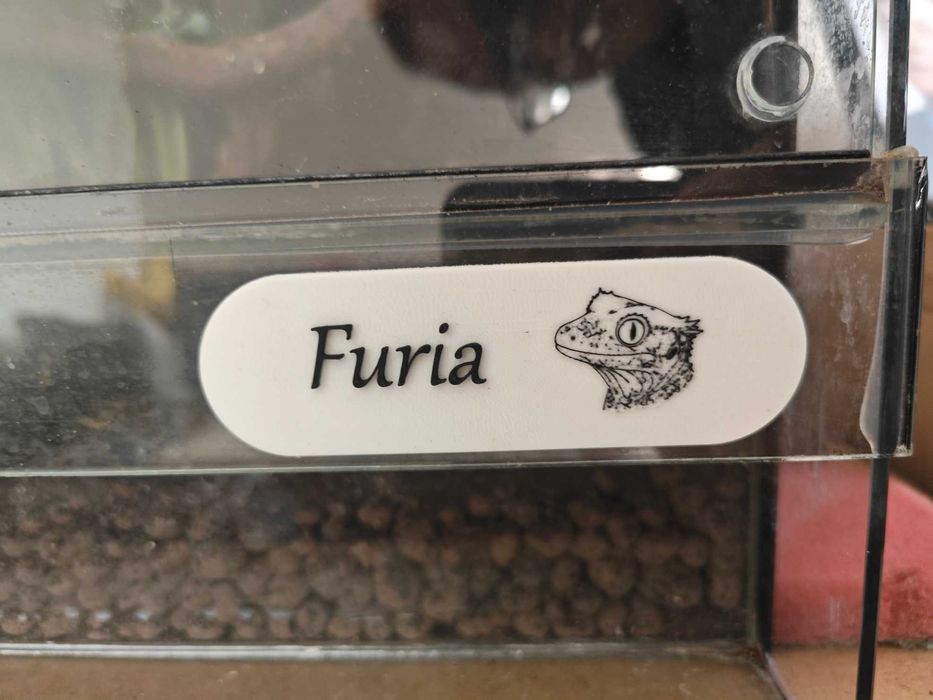 Personalizowana Tabliczka Imienna do Terrarium / Klatki - 3D
