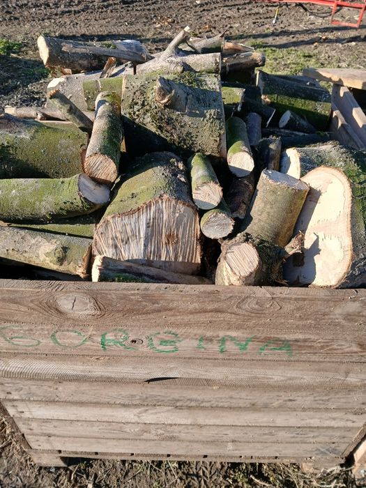 Sprzedam drewno na opał