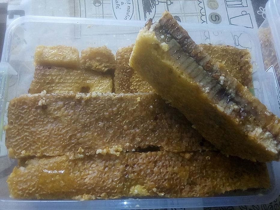 Продам мед, різний