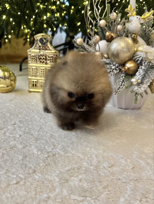 Супер-МІНІ хлопчик