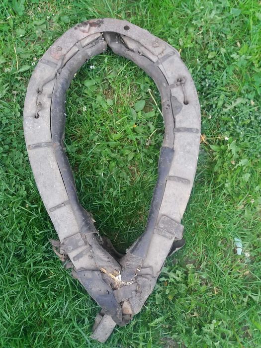 Stare homonta duze i małe homonto Sulechów • OLX.pl
