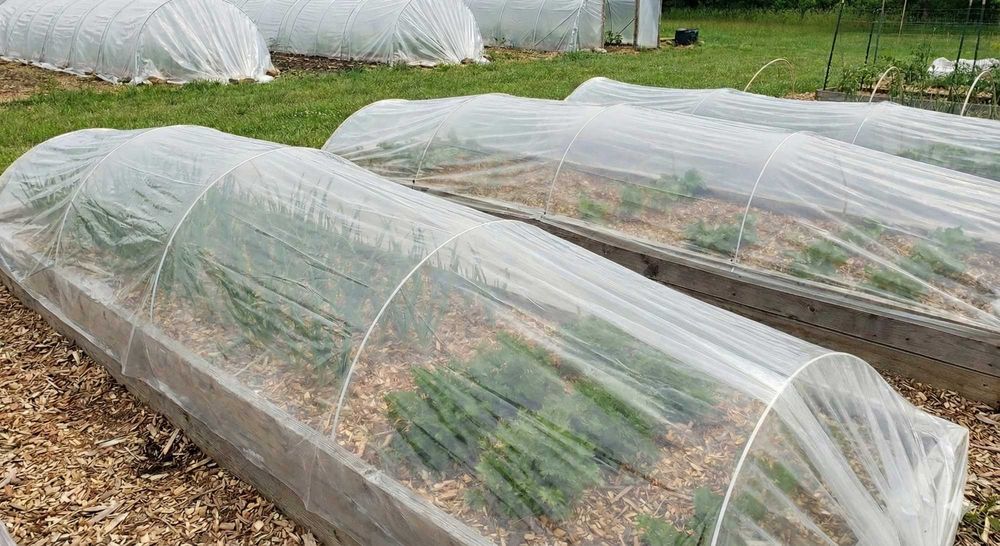 Довговічні композитні дуги для вкривання Ваших рослин| бухти 50/100 м