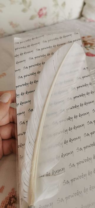 Długopis z prawdziwym ptasim piórem