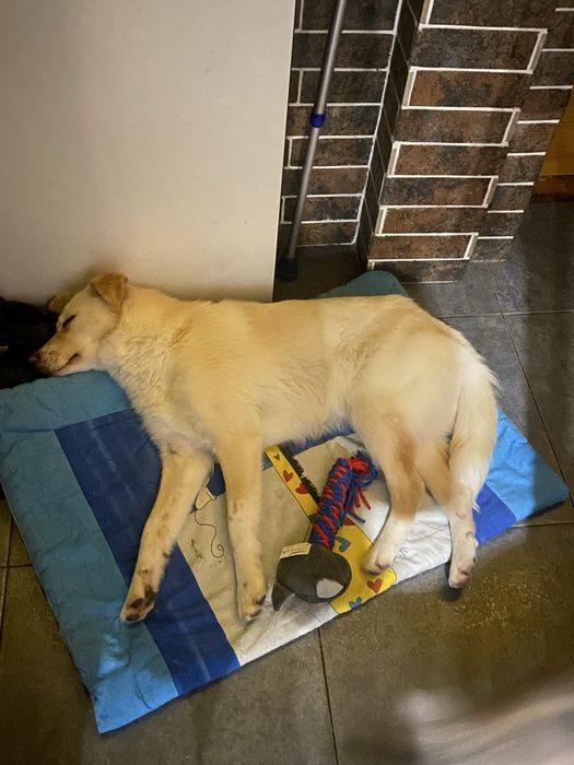 Енергійна красуня шукає родину