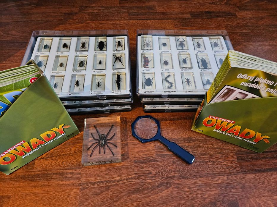 Kompletna kolekcja "Prawdziwe owady, pajęczaki i inne robaki"i