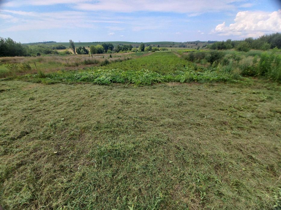 Продаж п'яти земельних ділянок площею понад 2,0 га