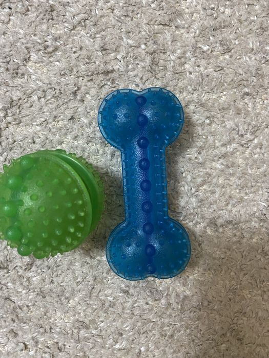 Brinquedos de cachorro