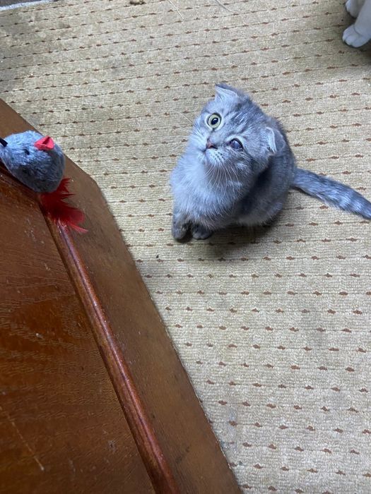 Хлопчик терміново шукає люблячу сім'ю