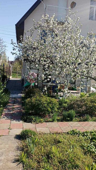 Без % Продам будинок 103кв.м. с.Проців, 30км від метро Бориспільська