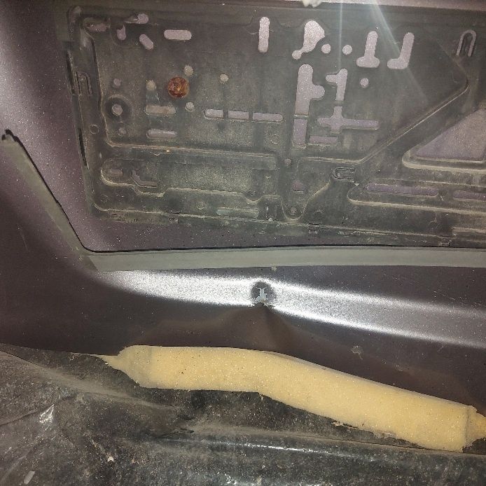 Задні двері на Mitsubishi Grandis