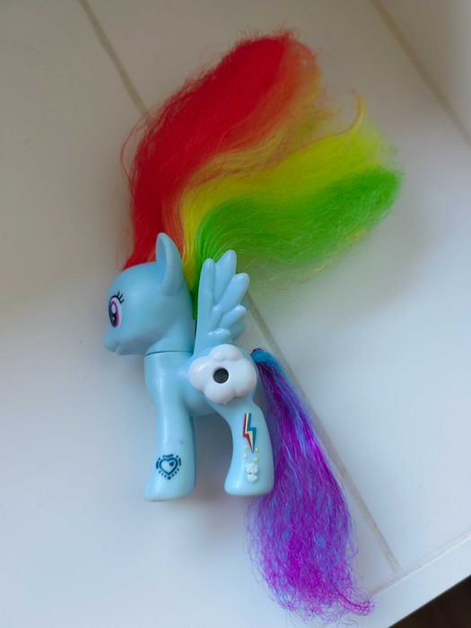 Rainbow dash kucyk