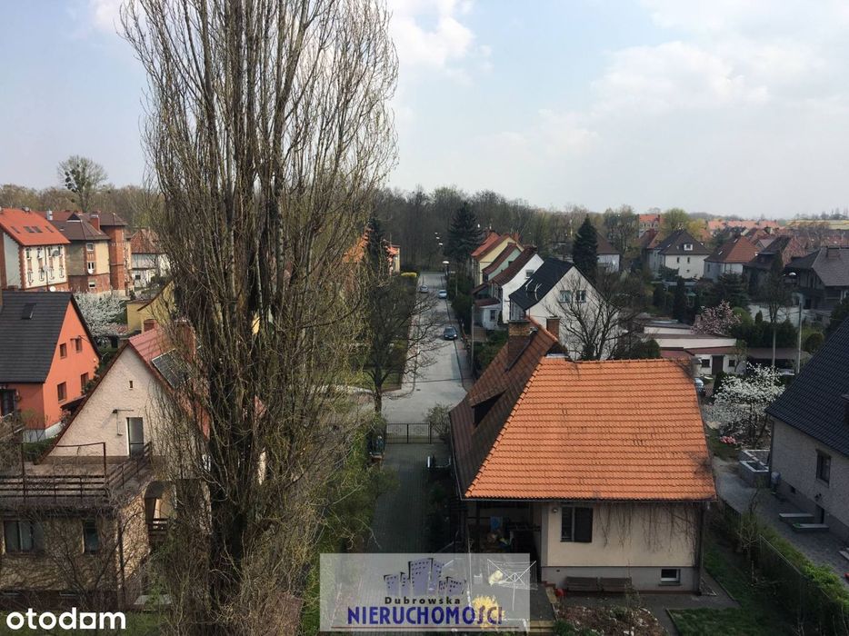 ok. Parku Chorzowskiego