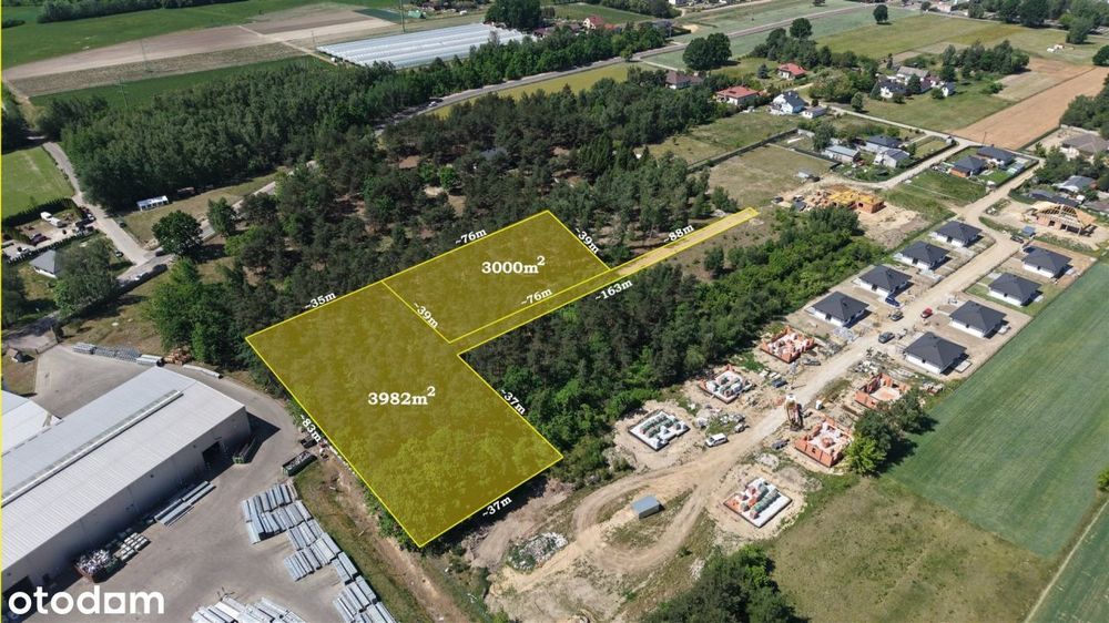 Działka leśna 3000 m² – Sochaczew, Wypalenisko