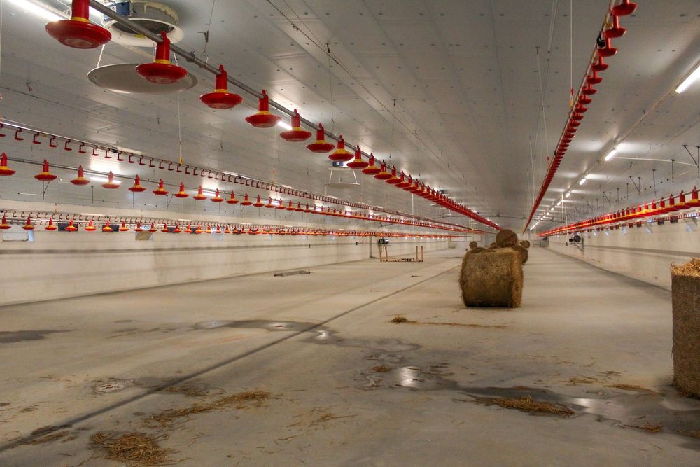 Styrodur XPS AGRO Płyty Izolacyjne Dachowe Obornickie Nie Warstwowe