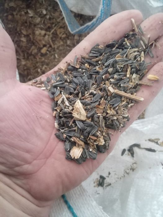 Переробник закуповує сухі відходи соняшнику агровідходи пелета