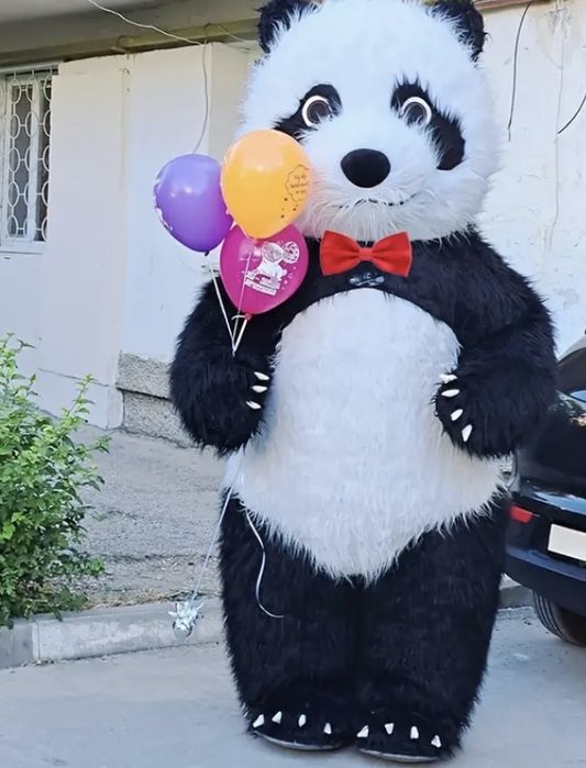 Miś Panda Show żywa maskotka! Atrakcja na urodziny, komunie, wesela