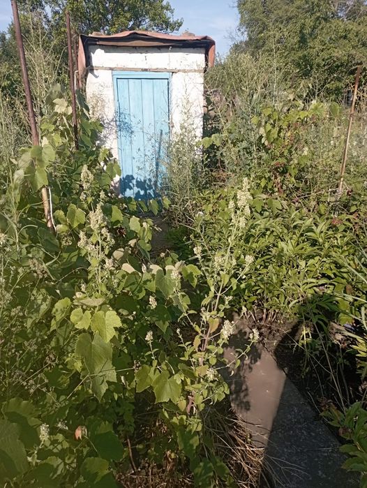 Продам дачу.СТ."Коксохимическое"