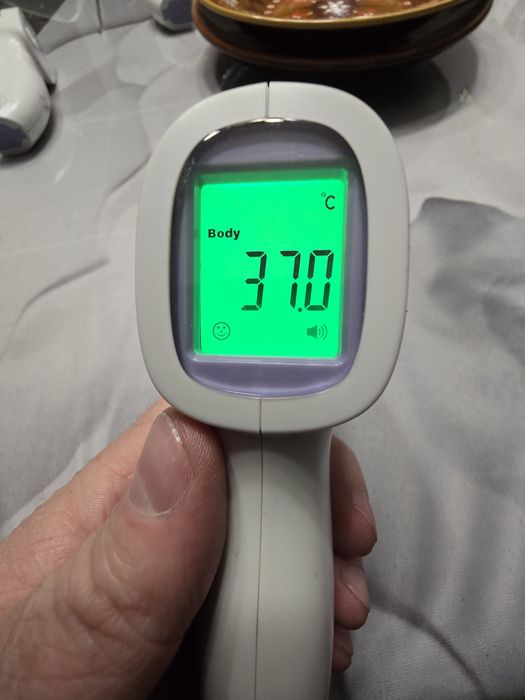 Termometr bezdotykowy HetaidaHTD 8813