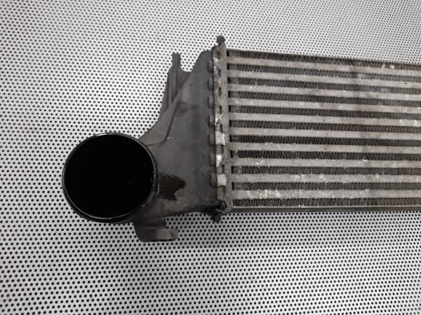 Radiador do intercooler BMW X5 (E53)