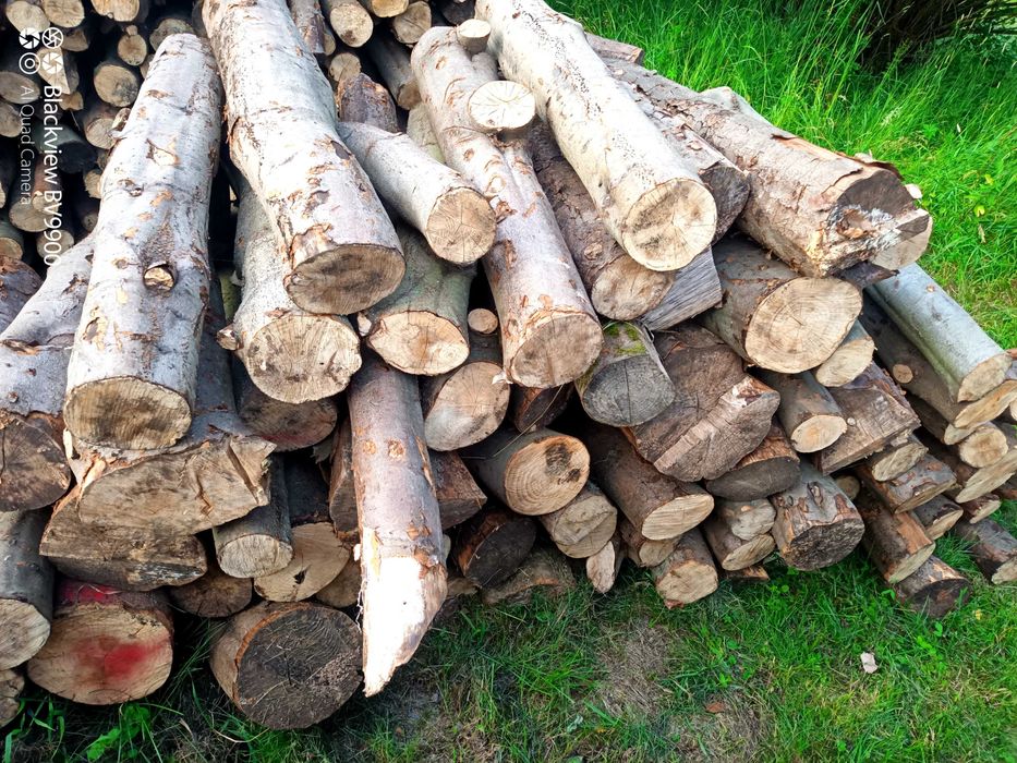 Sprzedam drewno opałowe JESION, KLON , BUK, świerk