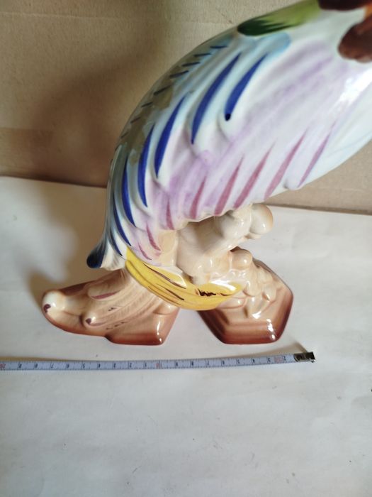 Чудо-птица Португалия