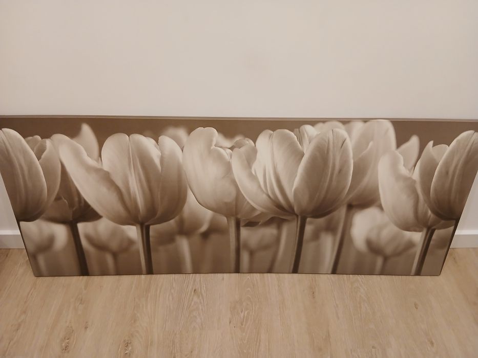 Obraz IKEA Tulipany