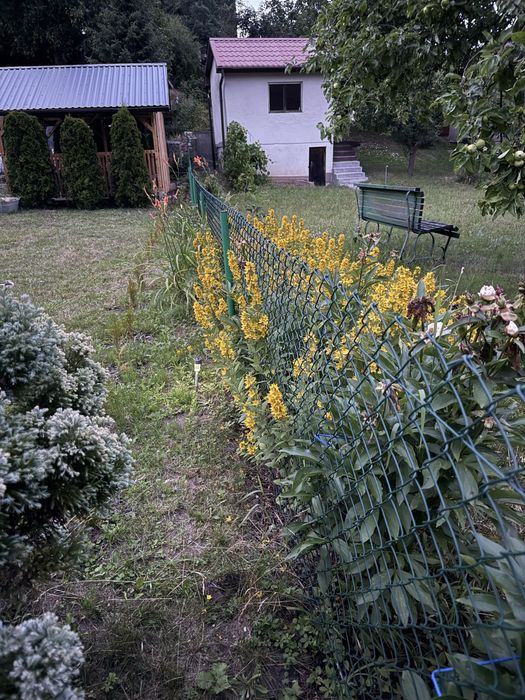 Sprzedam prawa do dzialki rod Przyjaźń