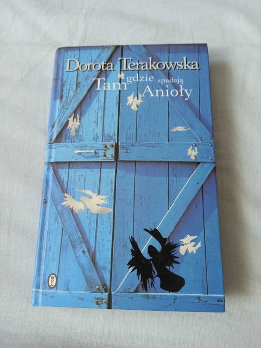 Tam gdzie spadają anioły - Dorota Terakowska