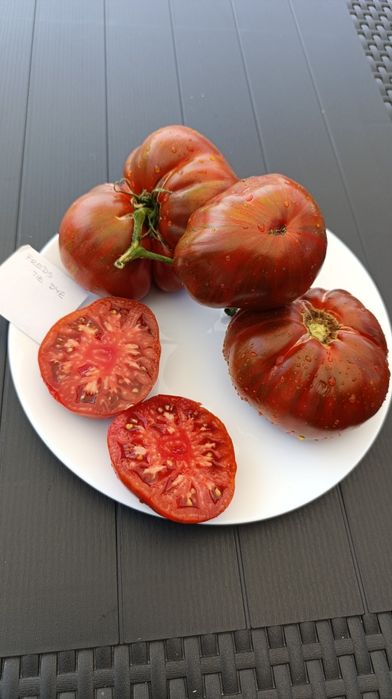 Nasiona pomidora kolekcjonerskie