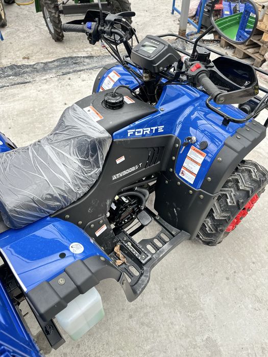 Вантажний квадроцикл Forte ATV300BS-T