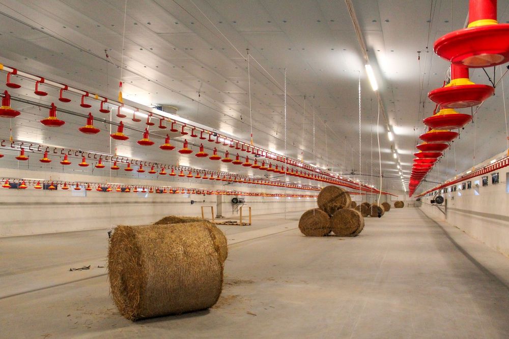 Styrodur XPS AGRO Płyty Izolacyjne Dachowe Obornickie Nie Warstwowe