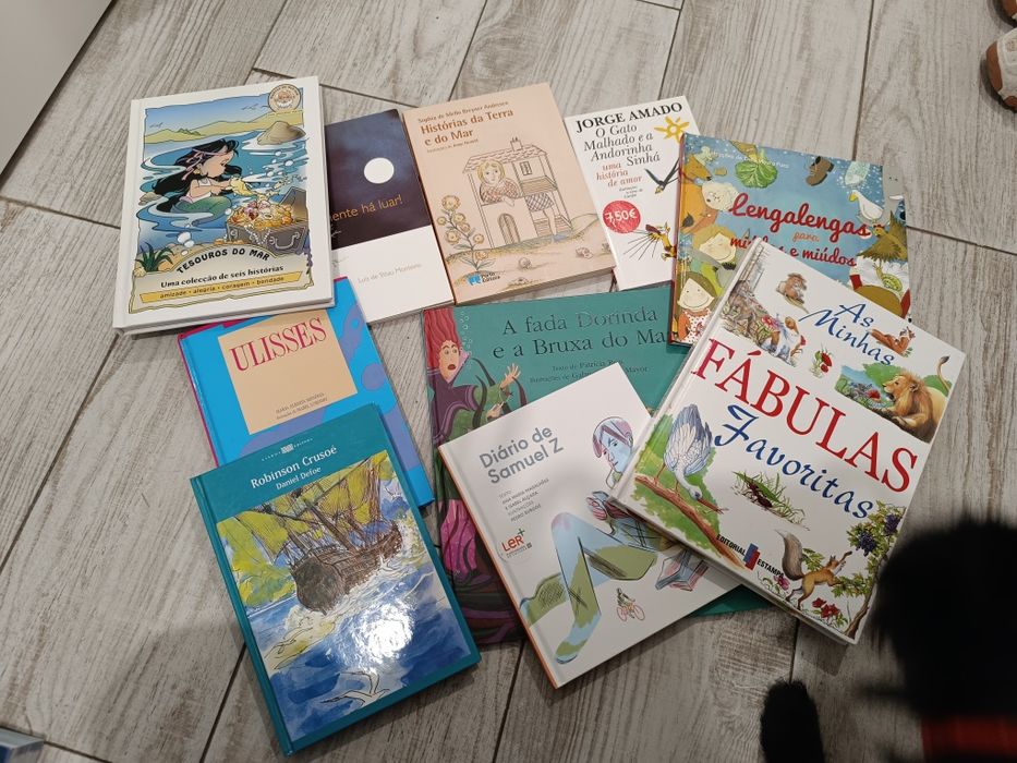 10 livros do plano nacional de leitura 1°e 2°ciclo