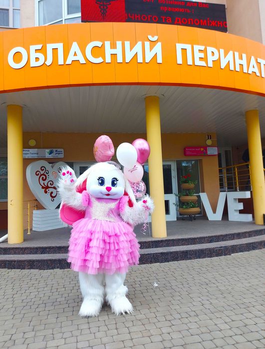 АніматорИ Луцьк, жартівливий стрептиз, виписка, привітання сюрприз