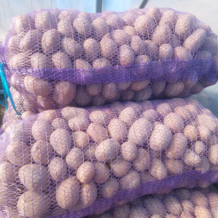 Мелоді насіннева доставка