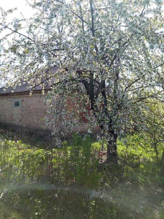 Продам Дим в сели Медове